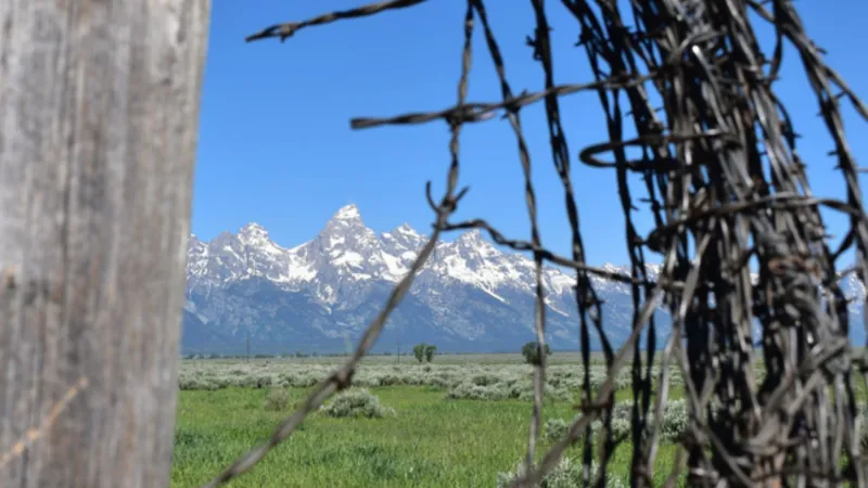 Eight companies are now Certified Wildlife-Friendly Fence Professionals