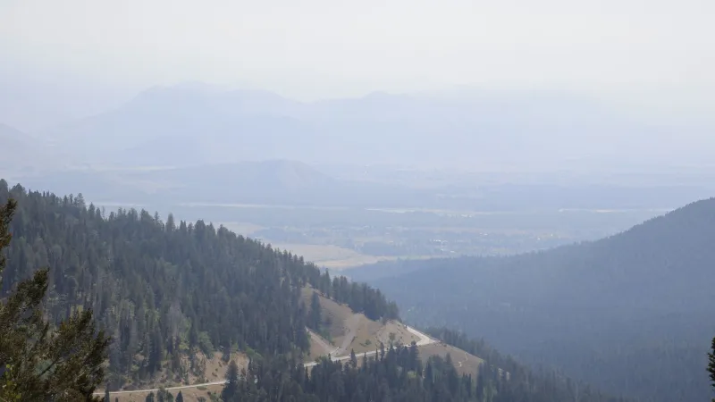 How wildfire smoke affects fertility