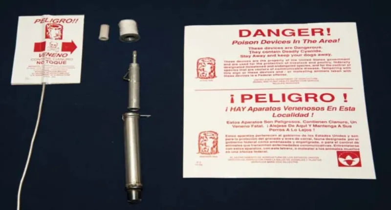 Trump administration resurrects dangerous cyanide bombs