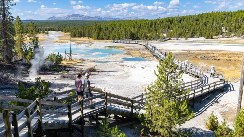 Yellowstone sees busiest May on record