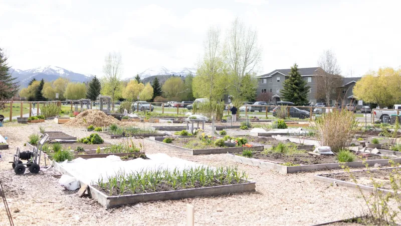 Temps forecast to dip below 28; don't forget to cover the garden