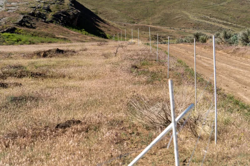 Drought delivers 'worst case scenario' for fire scar recovery in Wyoming's Bighorn Basin