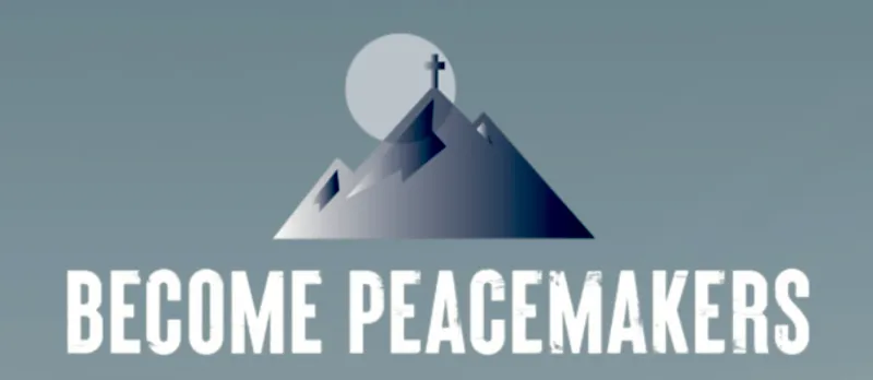 Non-profit works to promote social and political peace