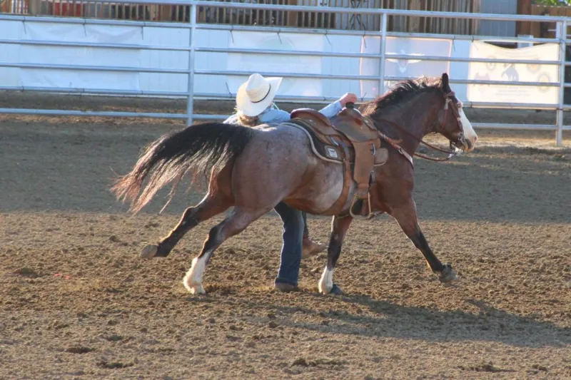 2026 Wyoming State High School Finals Rodeo Results and National Qualifiers