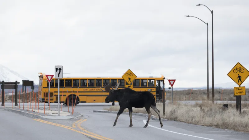 Teton Science Schools and Wyoming DOE launch first Place-Based Education Microcredential