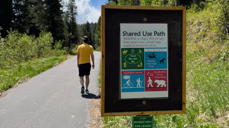 Pathway etiquette: A guide to harmonious coexistence for cyclists, canines and saunterers