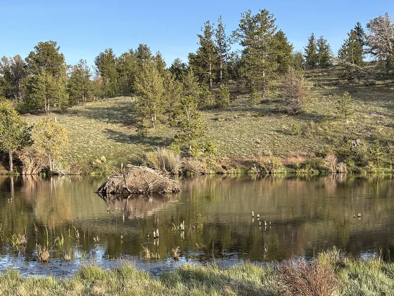 Public lands travelogue 2026: Hidden gems