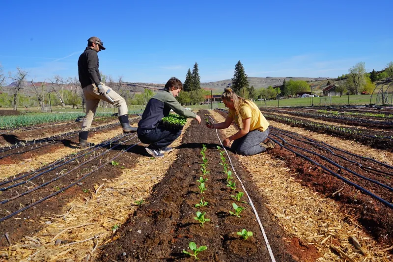 In Wyoming's historic 'Apple City,' local food scene puts down new roots