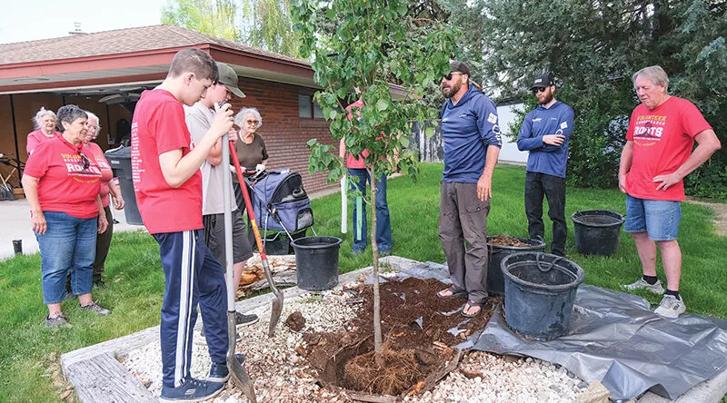 Homesteader Roots ups trees planted in town to 55
