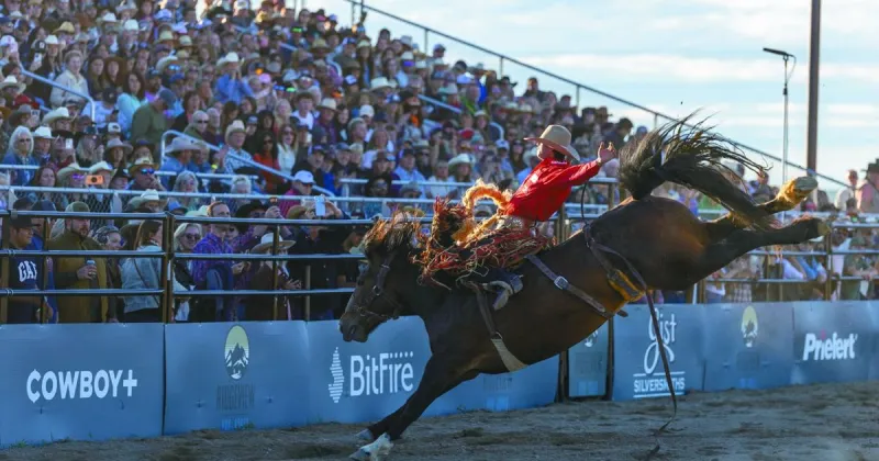 Pro rodeo dazzles Driggs as Tull sponsors major-league event