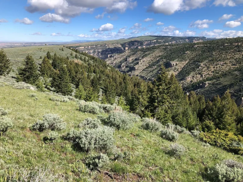 Wyoming State Forester Kelly Norris to visit Lincoln County