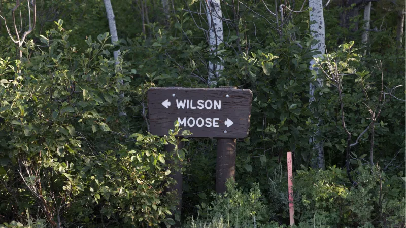 Moose-Wilson Road to reopen Friday