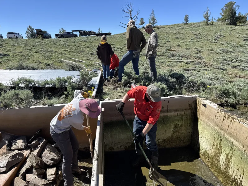 Water guzzlers may provide critical relief for wildlife during drought