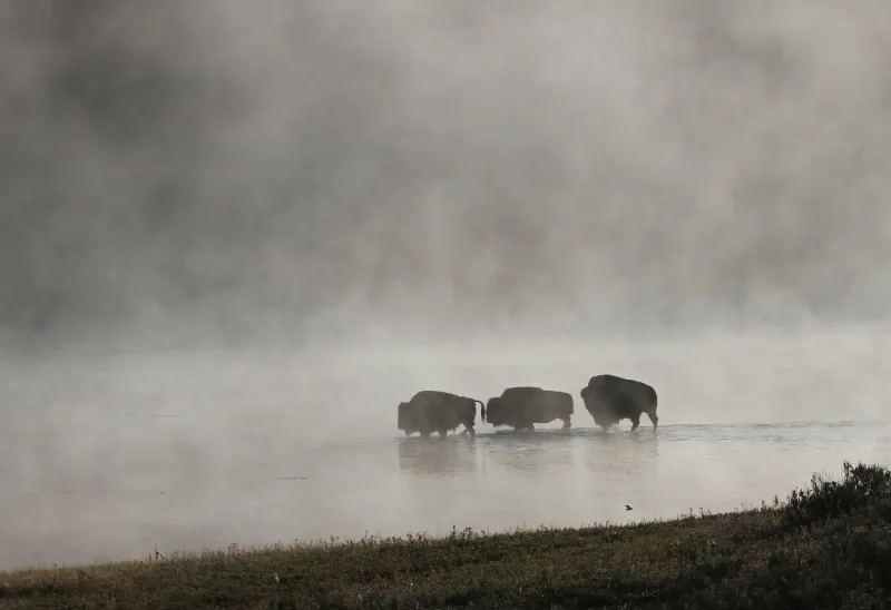 We need a broad approach for conservation to succeed in Wyoming