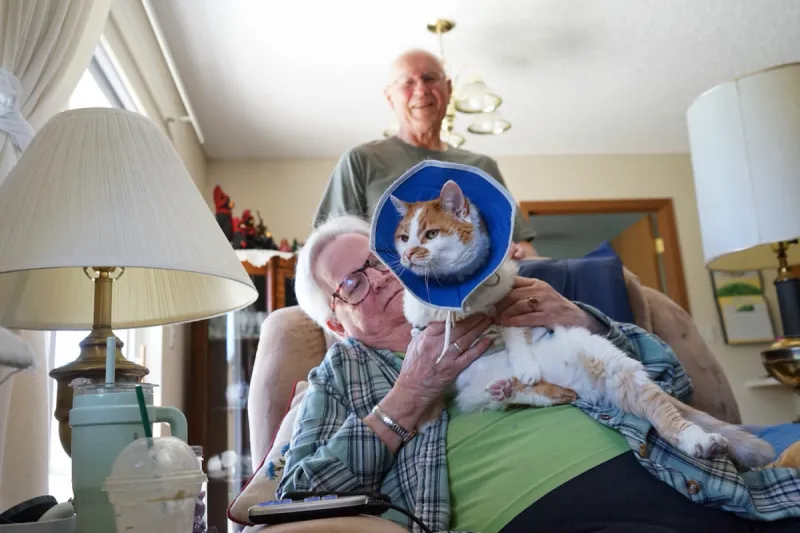 With high costs and access gaps, Wyoming's elder care landscape is 'in crisis'