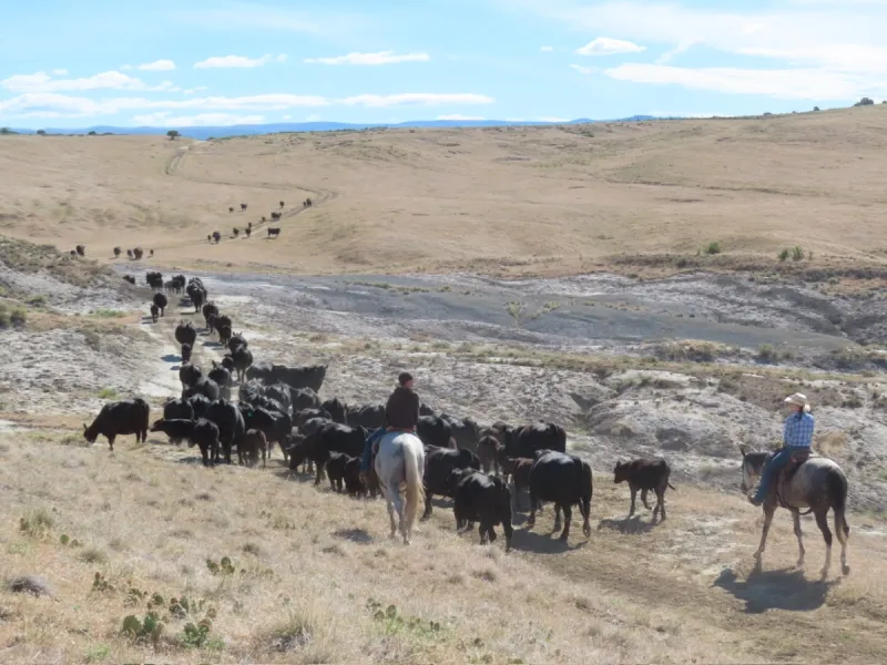 Gathering the Badlands