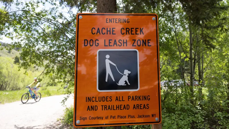 For Fido's sake: Experts say dog rules in place for safety, wilderness protection
