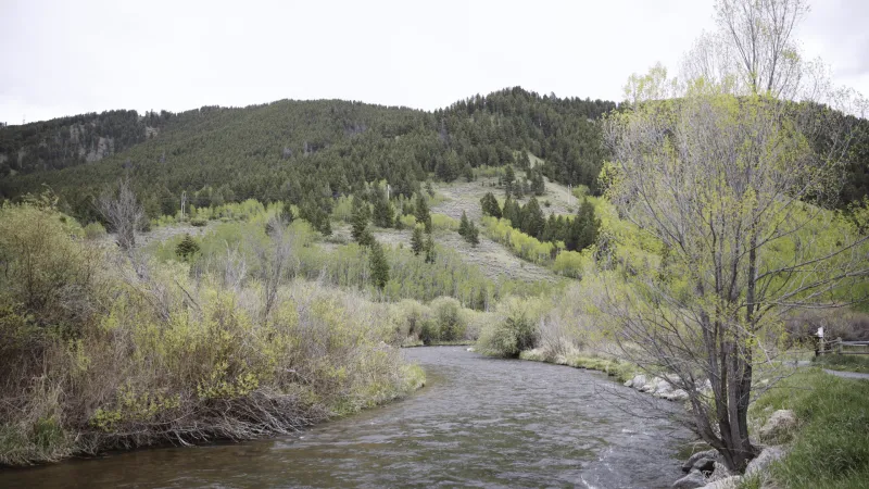 BTNF to host open house for wildfire fuel reduction project