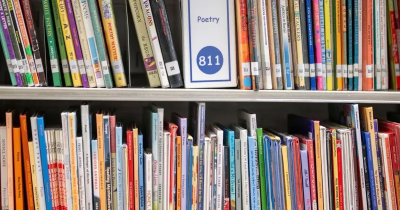 A massive book giveaway is underway in Casper and some say the best finds are still there