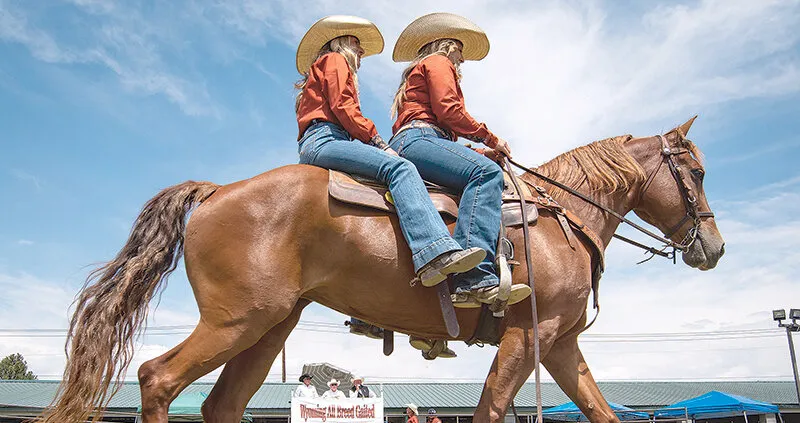 Making fox trotter history
