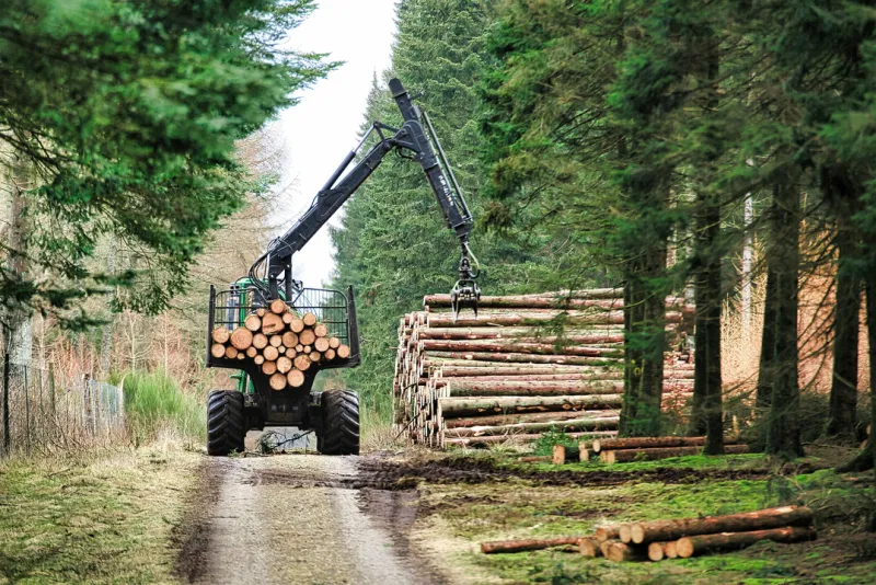 SVI Radio Interview: Adam Caulkins -- Increased logging on Bridger-Teton National Forest