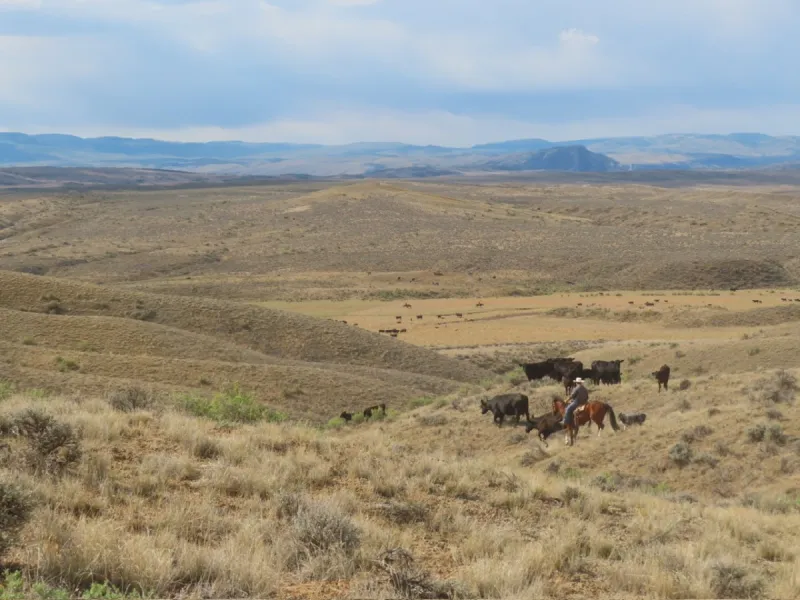 Wordless Wednesday: Dry Country