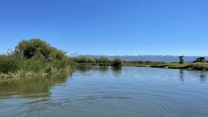 Dog drowns in Teton River accident; rescuers advise caution in high flows