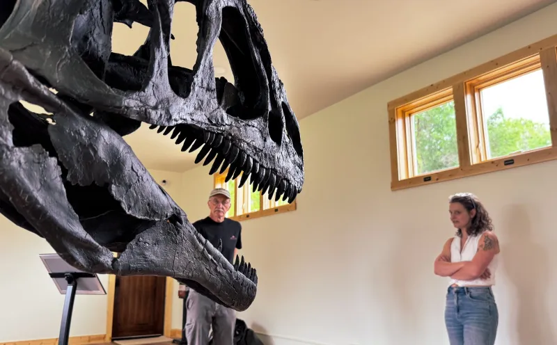 Millions of years in the making, Wyo dino discoveries coming home for new Big Horn County museum