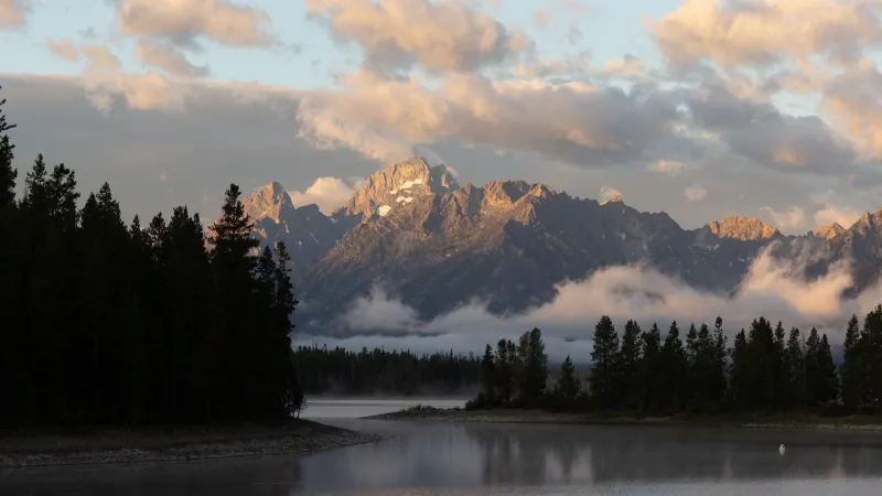 Measles confirmed in Teton County adult; potential exposure sites in Colter Bay, Target