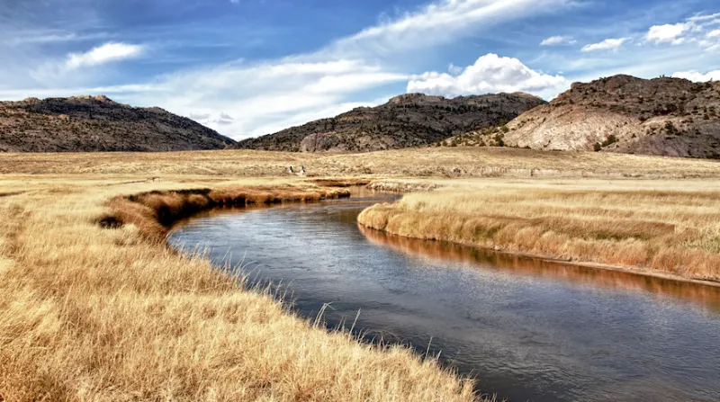 New Nonprofit Forms to Advance Long-Term Stewardship of Martin's Cove