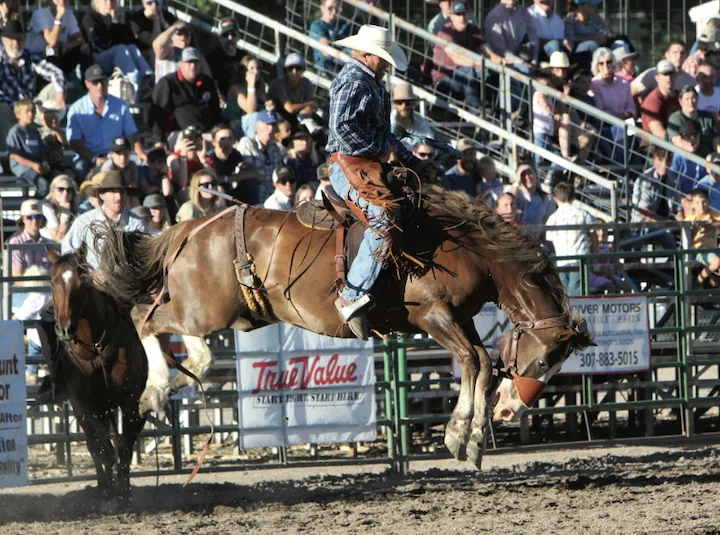 Annual Search & Rescue Ranch Rodeo caps Independence Day festivities