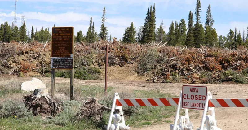 New cameras are going up at Casper Mountain's controversial slash pile. Here's why