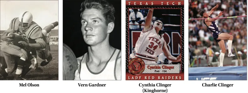 Here's a few local athletic standouts that the USA Today missed