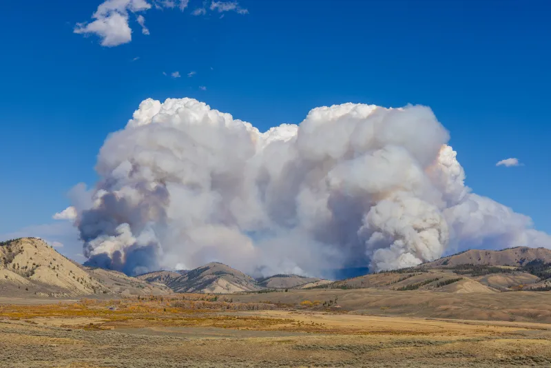 Will betting on wildfires lead to arson?