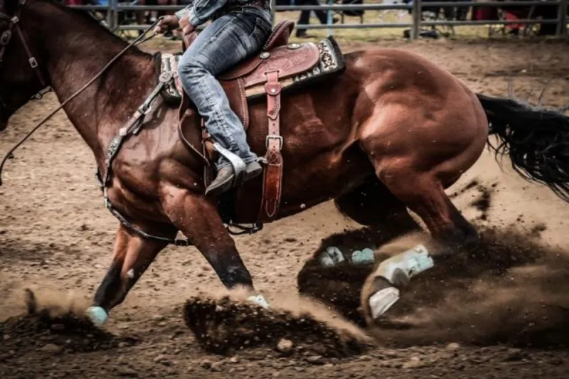 How Did Laramie Jubilee Days Get Started?