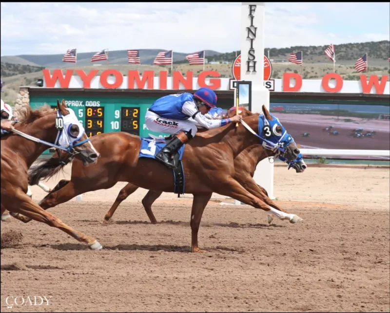 307 Horse Racing sets state record for most profitable horse race; nearly $300K raised
