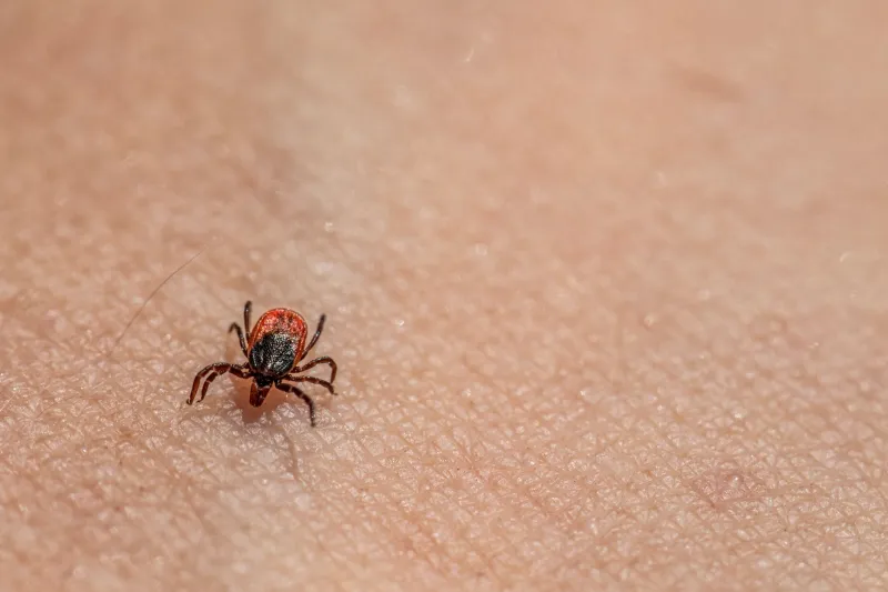 Would hunters take a Lyme disease vaccine?