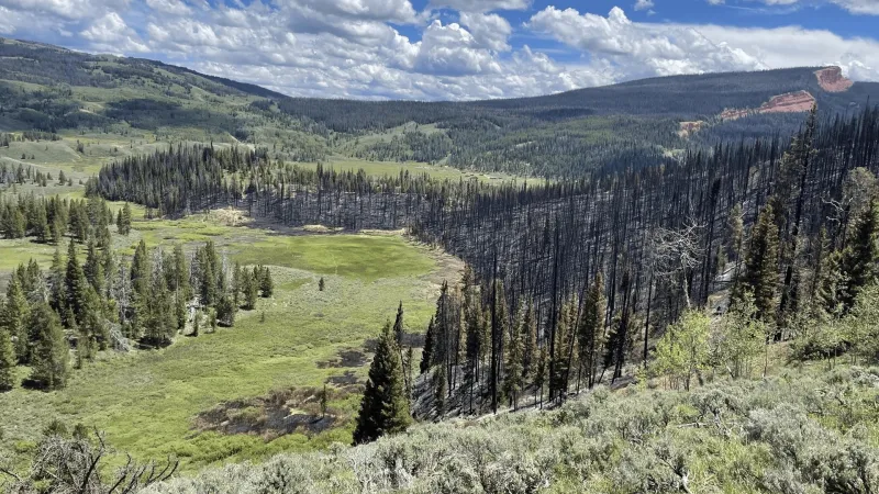 Kinky Creek Fire nears containment; control handed back to BTNF