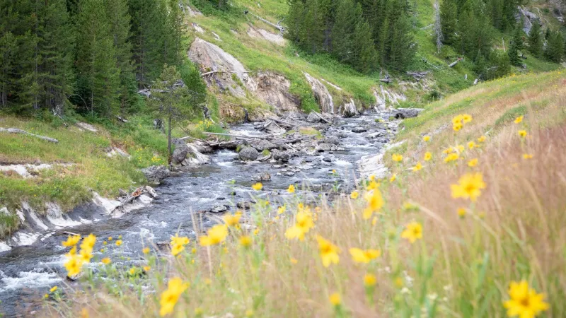 Afternoon fishing closures go into effect today on select Yellowstone rivers