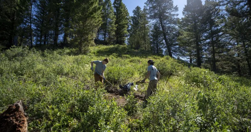 20 years of putting teens to (trail) work in Grand Teton