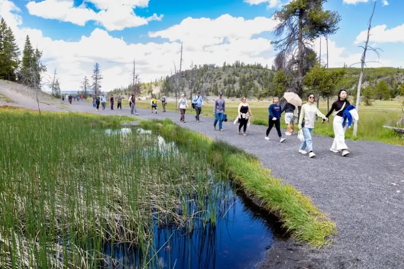 Yellowstone National Park June visitation down 3% from 2025