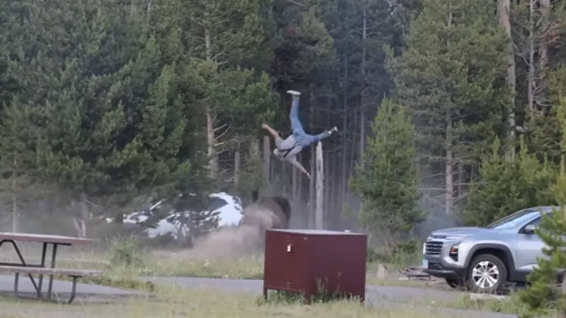 VIDEO: Grandfather seriously injured after being tossed 8 feet in the air by Yellowstone Bull Bison