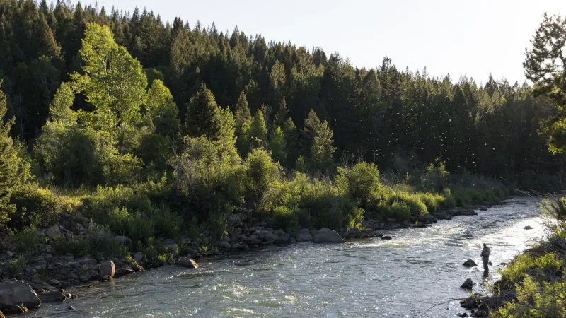 Game and Fish urges anglers to avoid afternoon fishing, handle fish gently