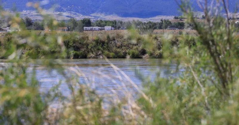 The hidden cost of cutting property taxes? Wyoming could feel it in the swarms