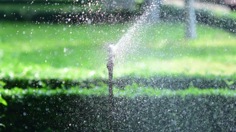 Jackson's water supply holding up despite heat, drought