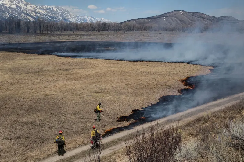 Wildfire prevention needs a better federal framework