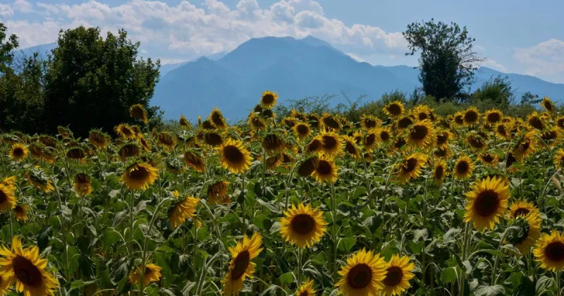 Mount Olympus, home of the ancient Greek gods, vies for World Heritage status