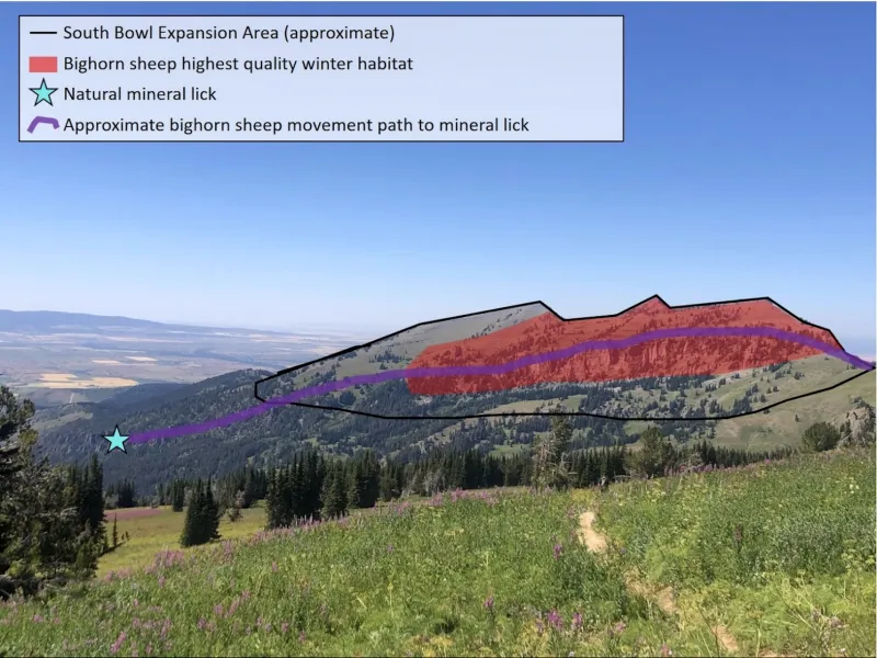 'Thoroughly disappointed,' Wyoming Game and Fish urges reversal of Grand Targhee expansion approval