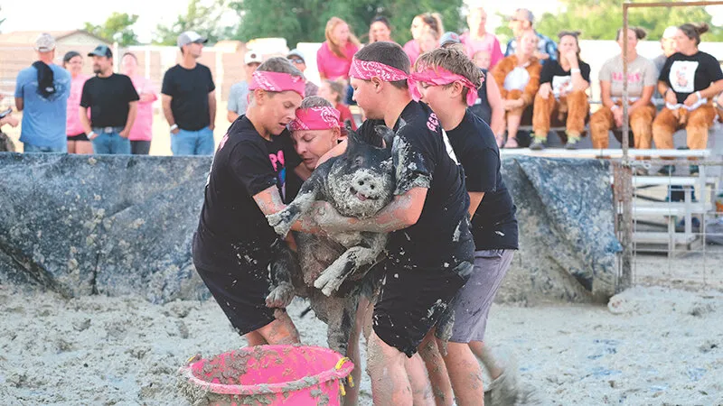 Park County pork power