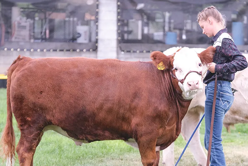 Livestock sale thrives on community support